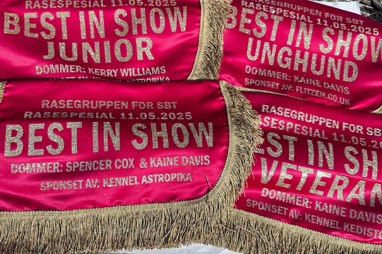 Norway SBT Award Winners