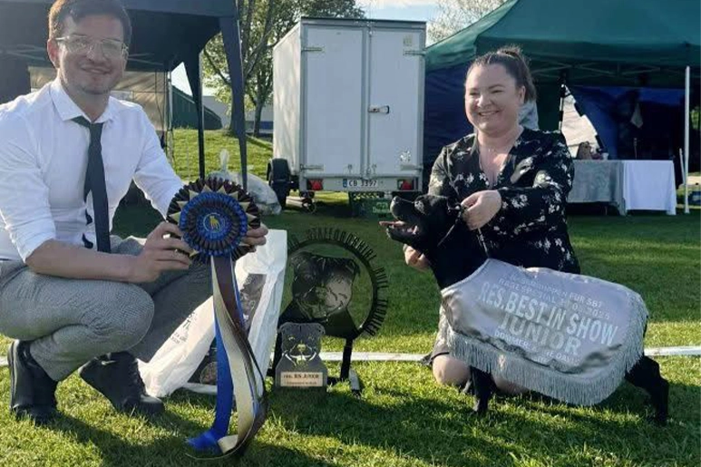 Norway SBT Breed Competition