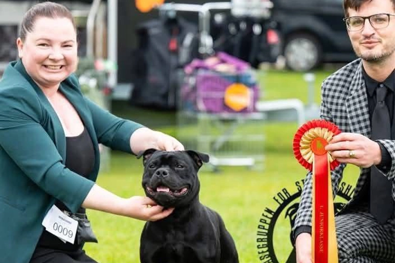 Norway SBT Champion Showcase