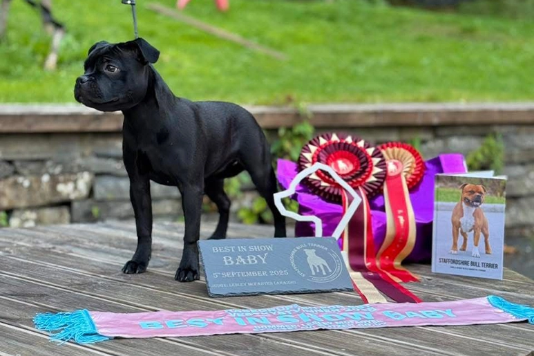 Norway SBT Community Gathering