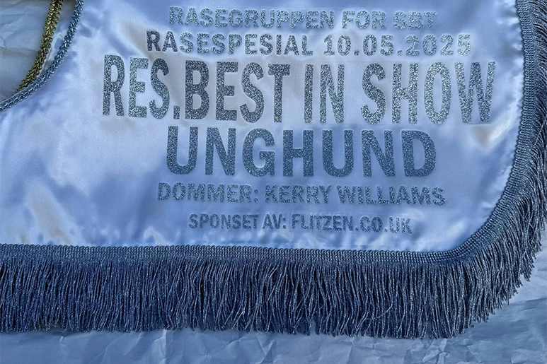 Norway SBT Competition Day