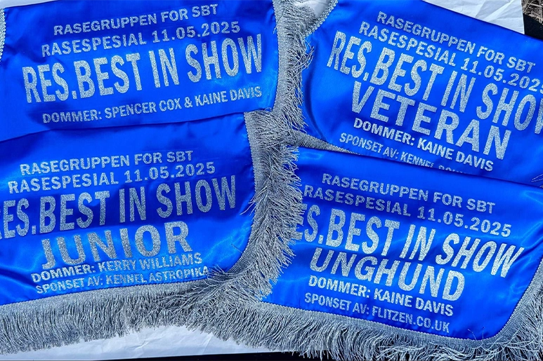 Norway SBT Dog Exhibition