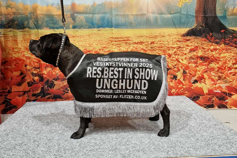 Norway SBT Event Highlights