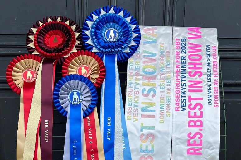 Norway SBT Prize Presentation