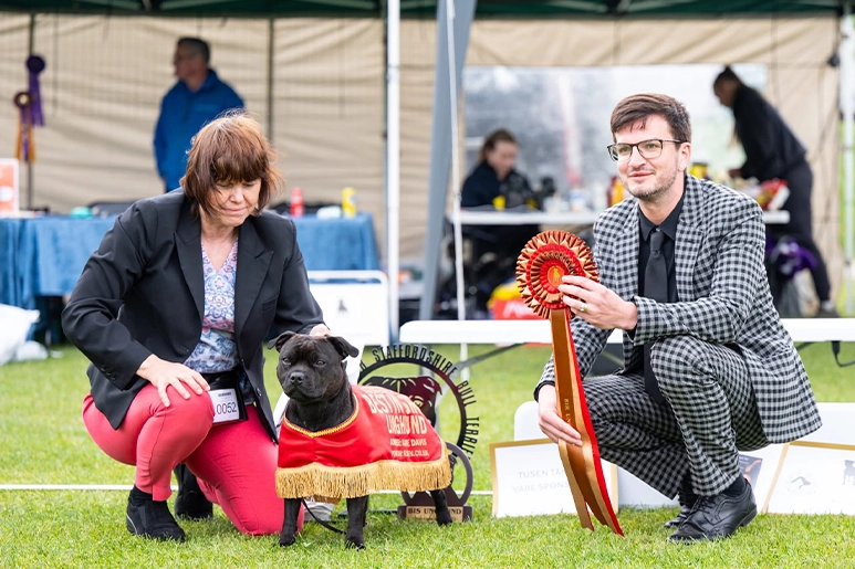 Norway SBT Winner Presentation